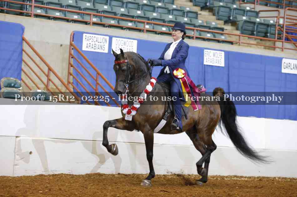 Proof 15R12_02225