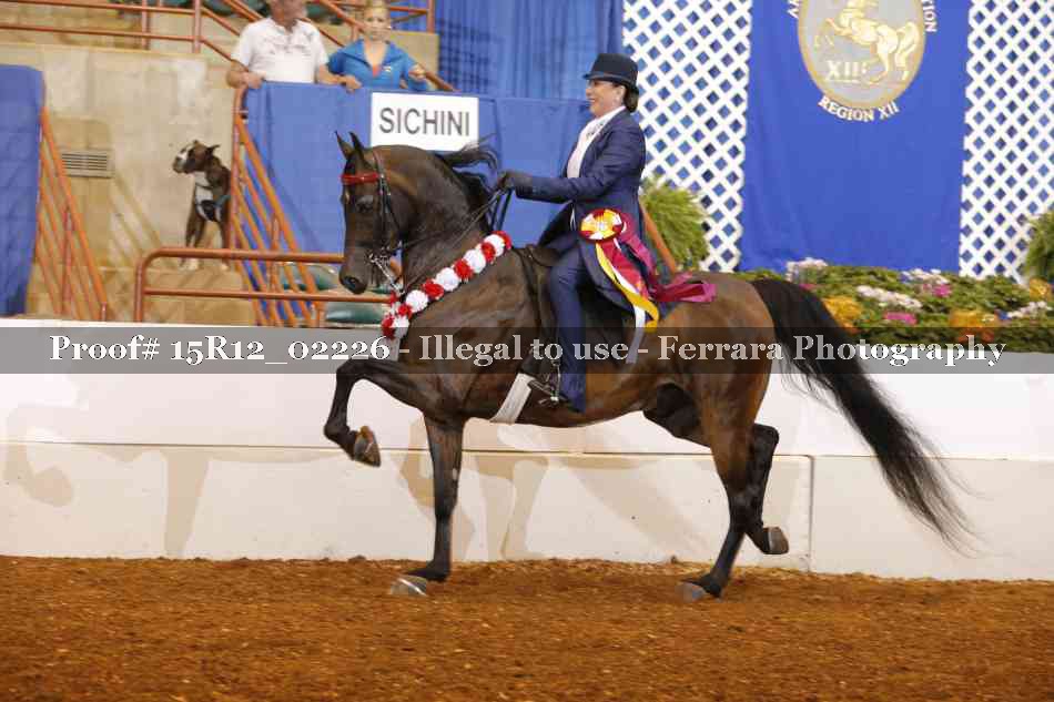 Proof 15R12_02226