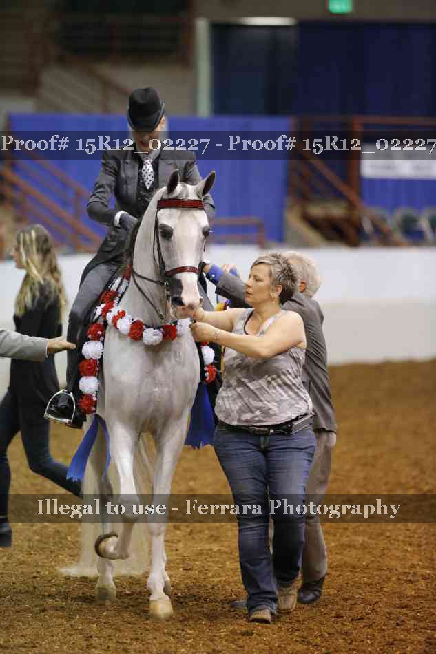 Proof 15R12_02227