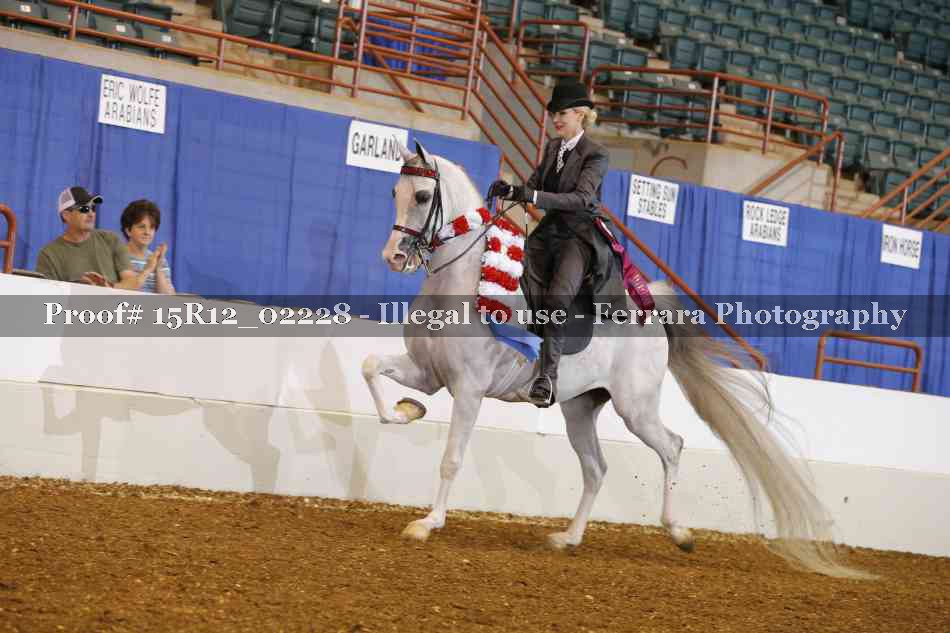 Proof 15R12_02228