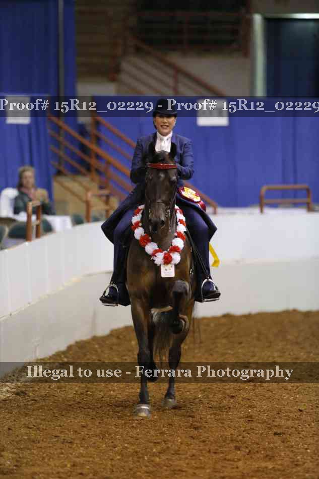 Proof 15R12_02229