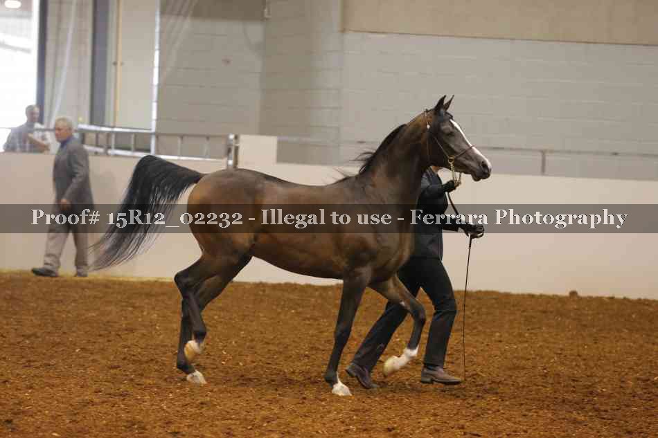 Proof 15R12_02232