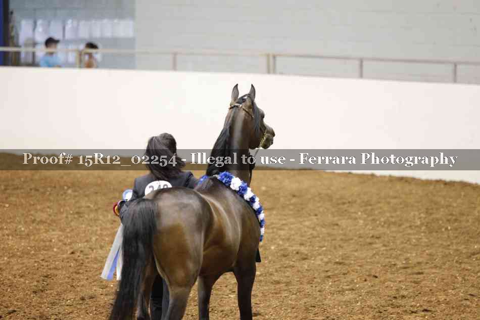 Proof 15R12_02254