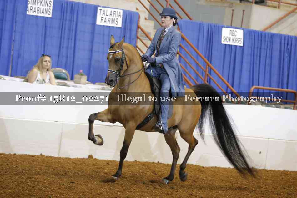 Proof 15R12_02271