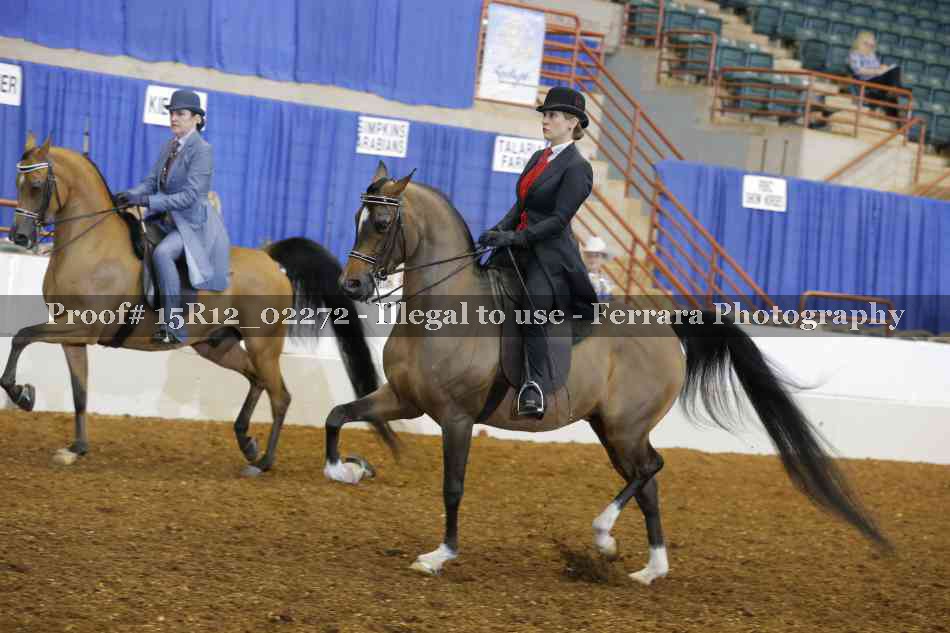 Proof 15R12_02272