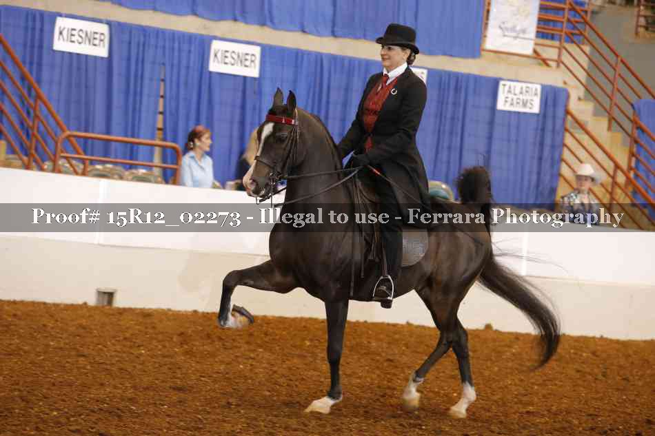 Proof 15R12_02273
