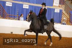 15R12_02273 proof