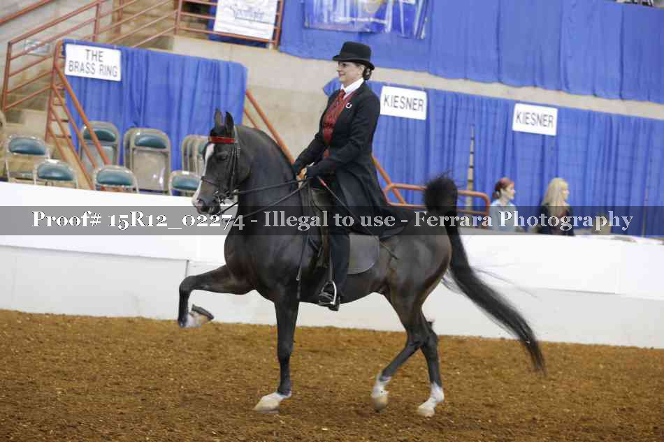 Proof 15R12_02274