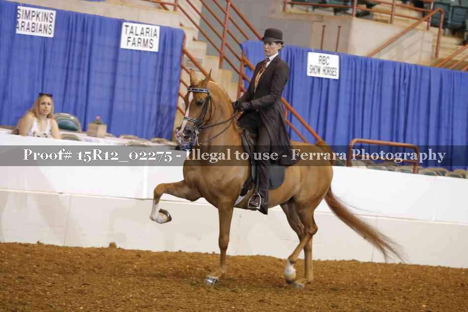 Proof 15R12_02275