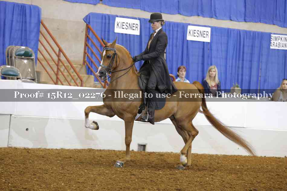 Proof 15R12_02276