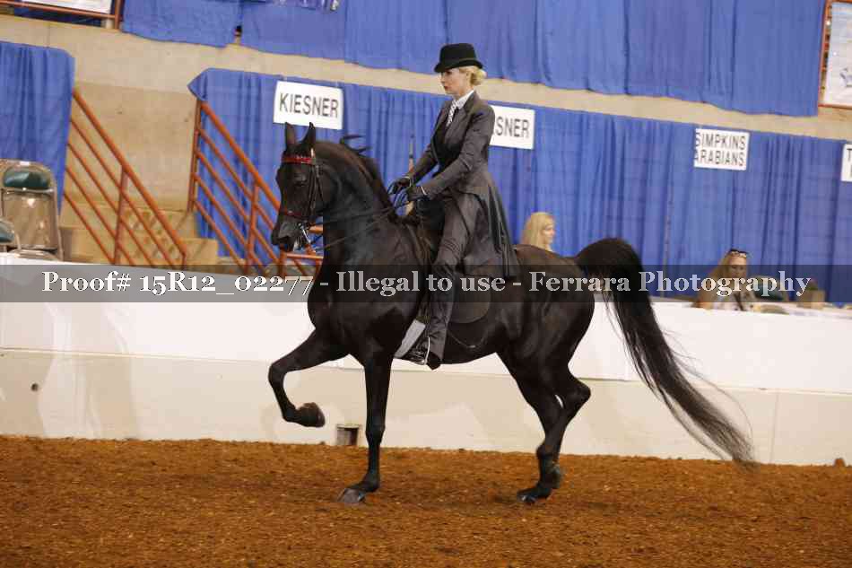 Proof 15R12_02277