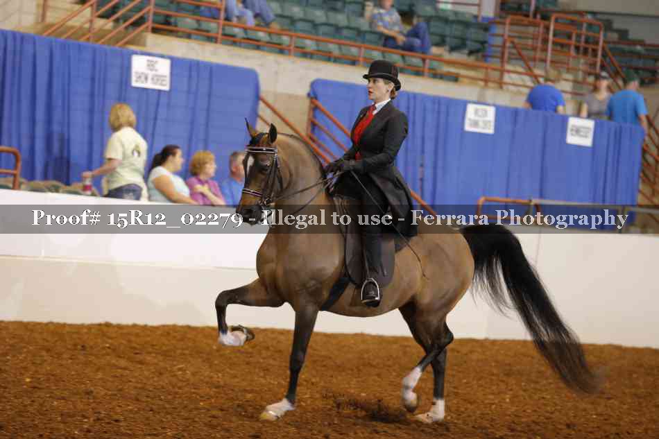 Proof 15R12_02279