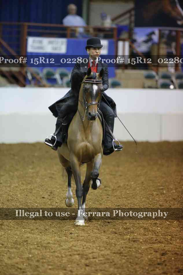 Proof 15R12_02280