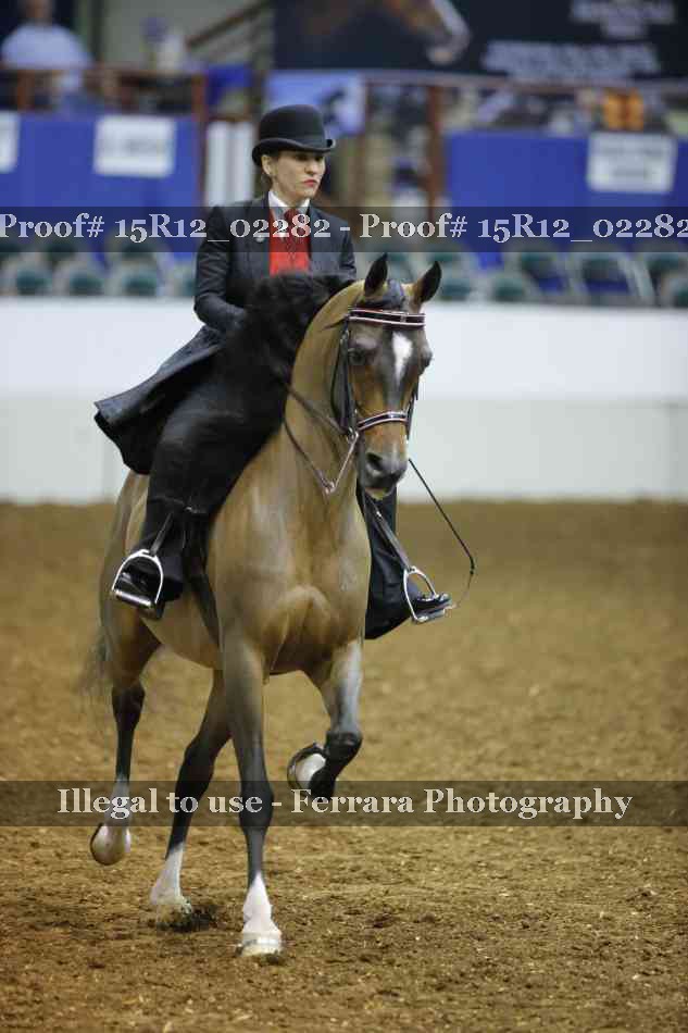 Proof 15R12_02282