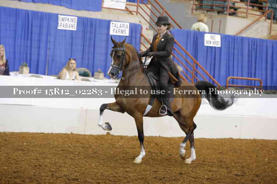 Proof 15R12_02283