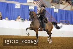 15R12_02283 proof