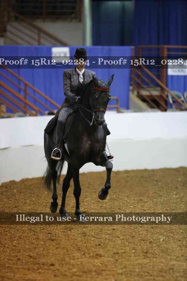 Proof 15R12_02284