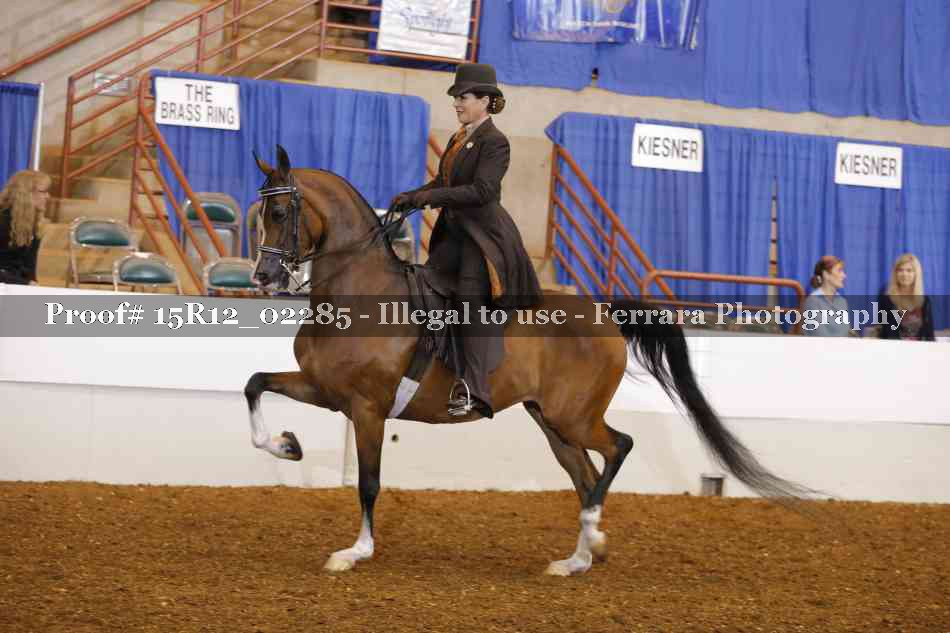 Proof 15R12_02285