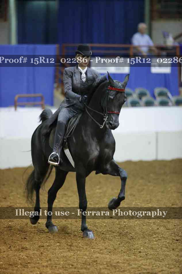 Proof 15R12_02286