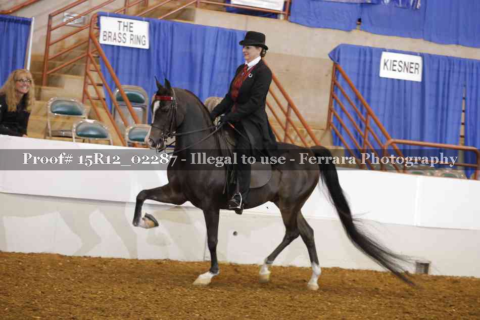 Proof 15R12_02287