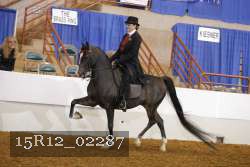 15R12_02287 proof