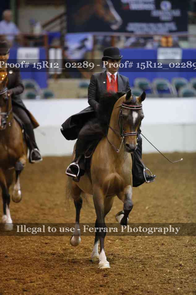Proof 15R12_02289