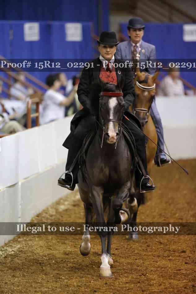 Proof 15R12_02291