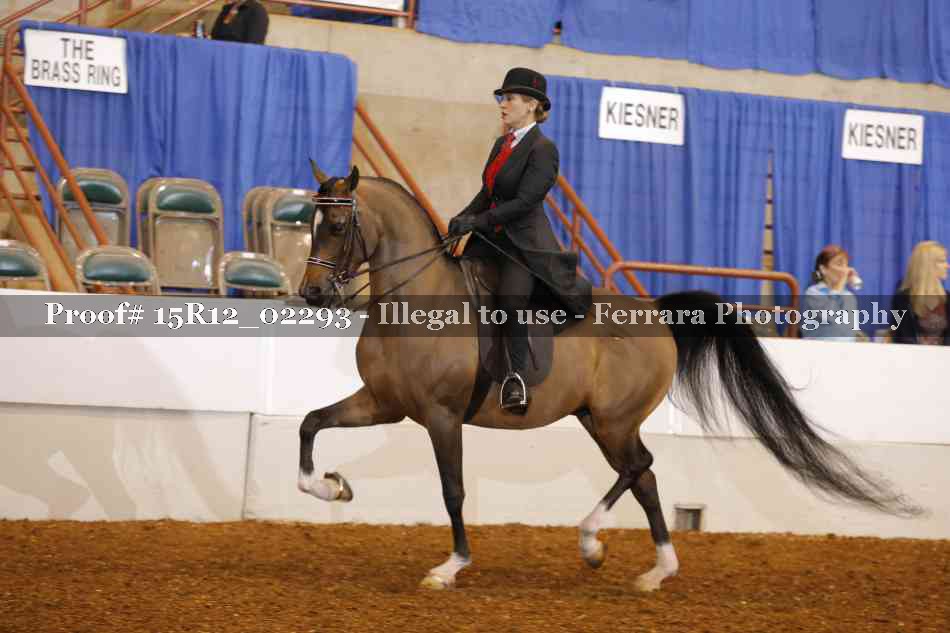 Proof 15R12_02293