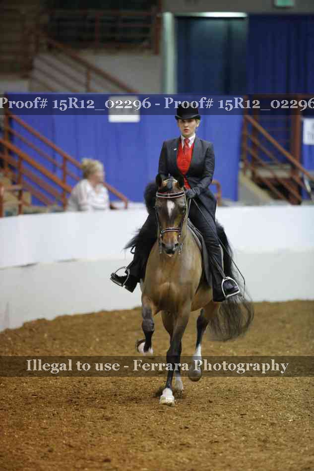 Proof 15R12_02296