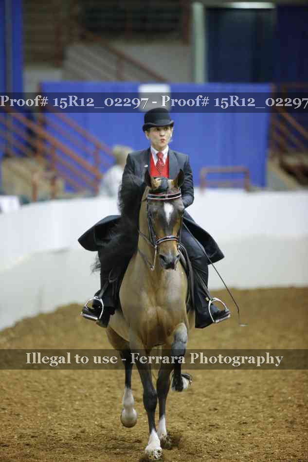 Proof 15R12_02297