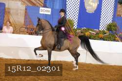 15R12_02301 proof