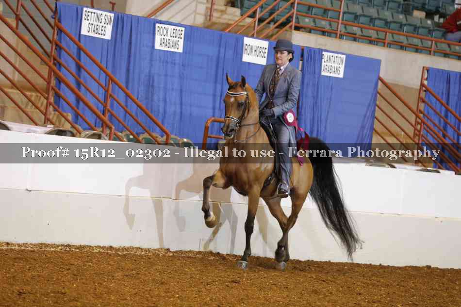 Proof 15R12_02302