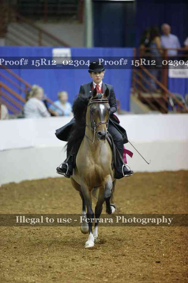 Proof 15R12_02304