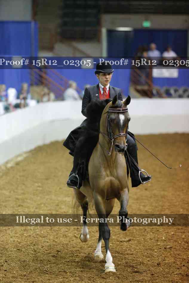 Proof 15R12_02305