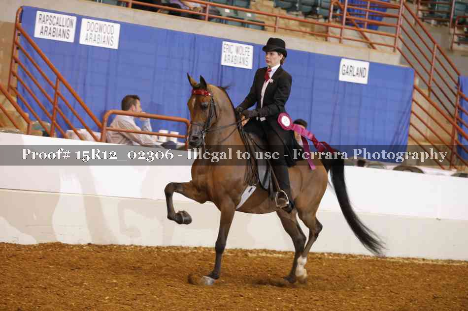 Proof 15R12_02306