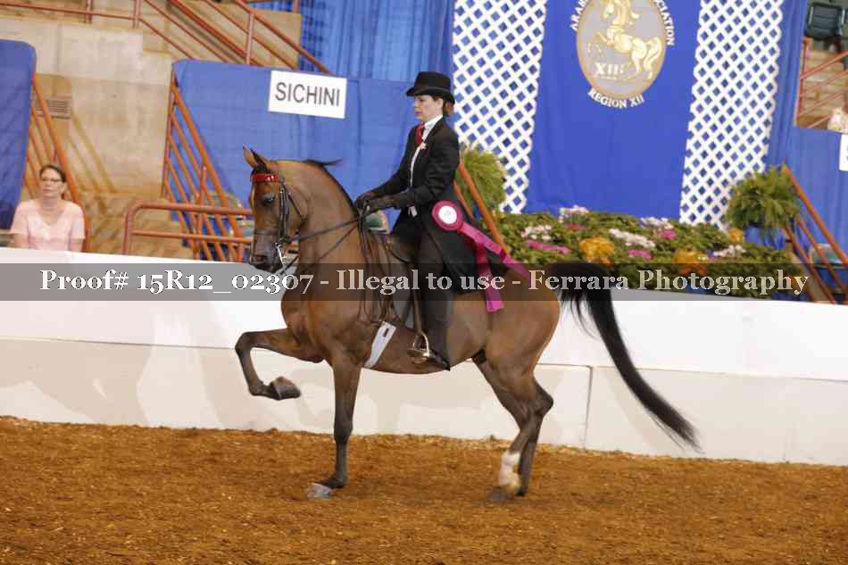 Proof 15R12_02307