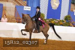 15R12_02307 proof