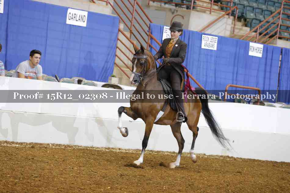 Proof 15R12_02308
