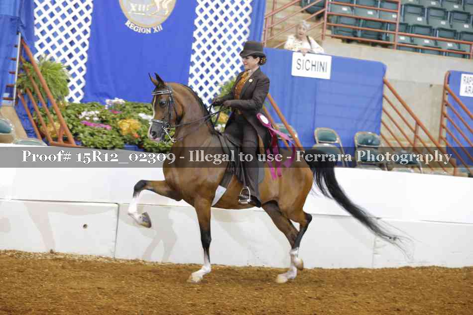 Proof 15R12_02309