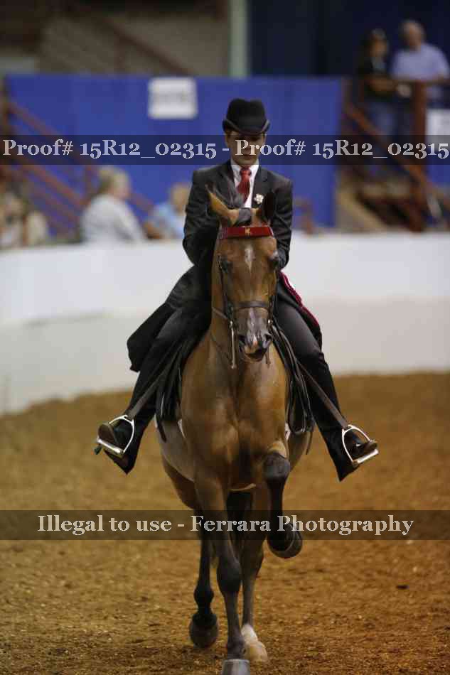 Proof 15R12_02315