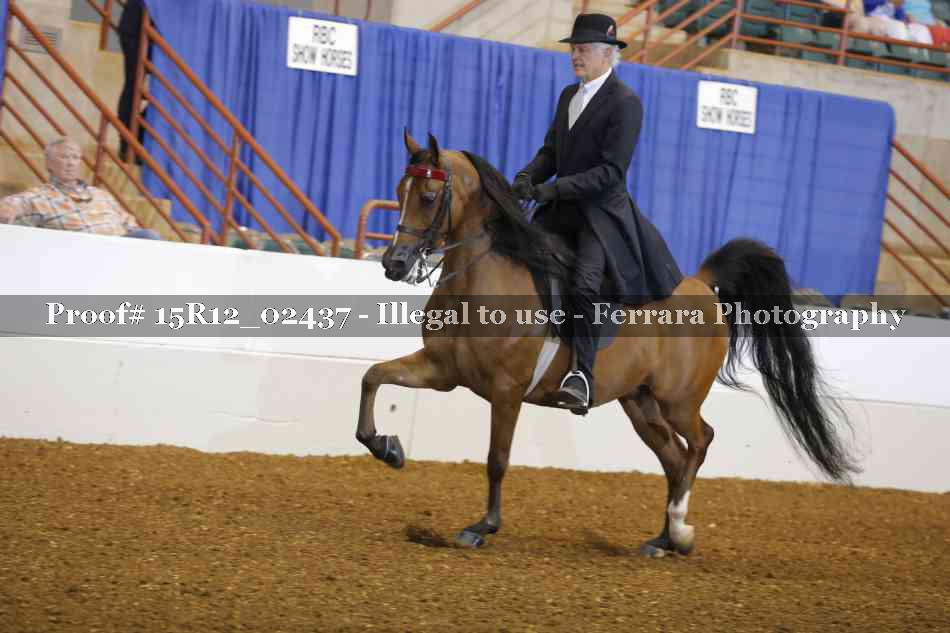 Proof 15R12_02437