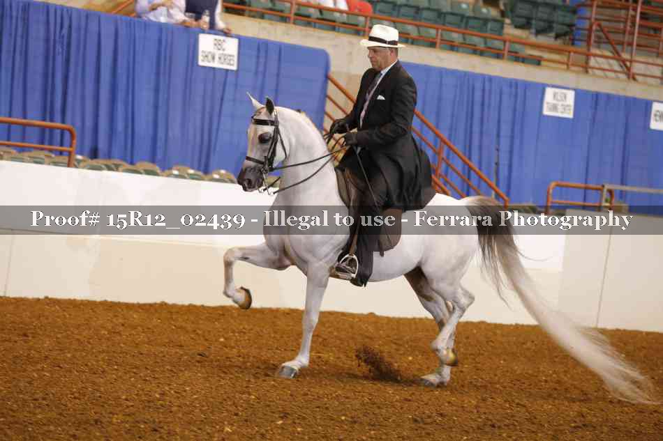 Proof 15R12_02439