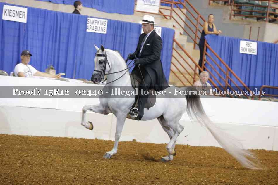 Proof 15R12_02440