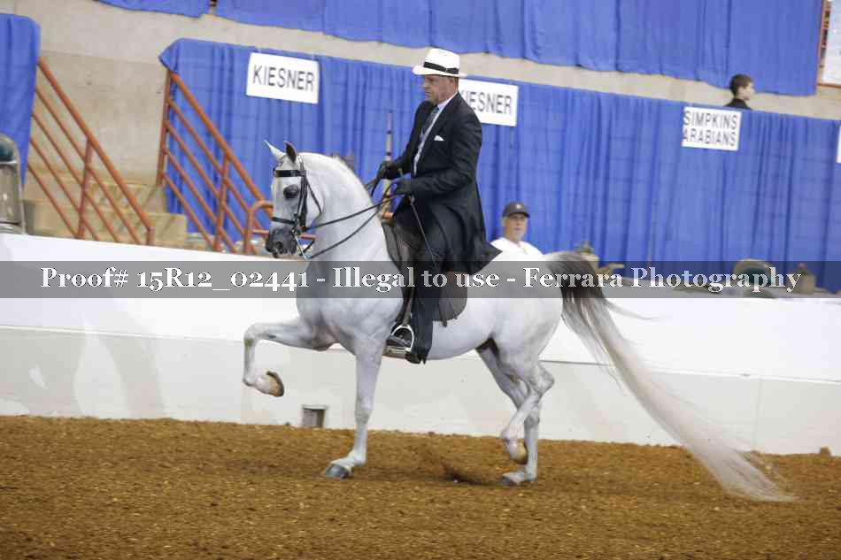 Proof 15R12_02441