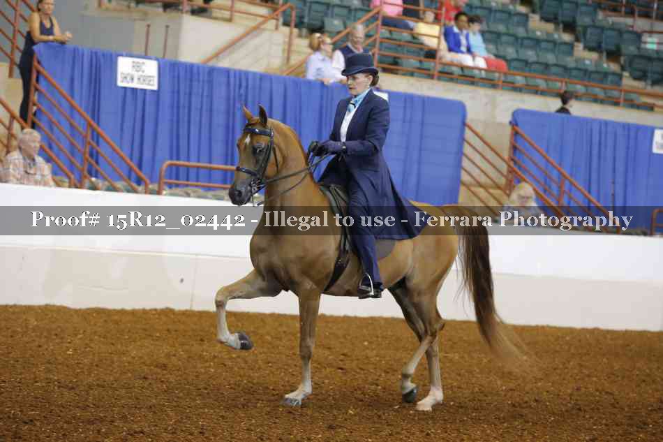 Proof 15R12_02442
