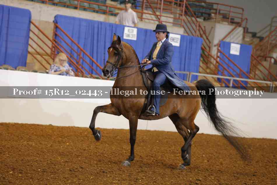 Proof 15R12_02443