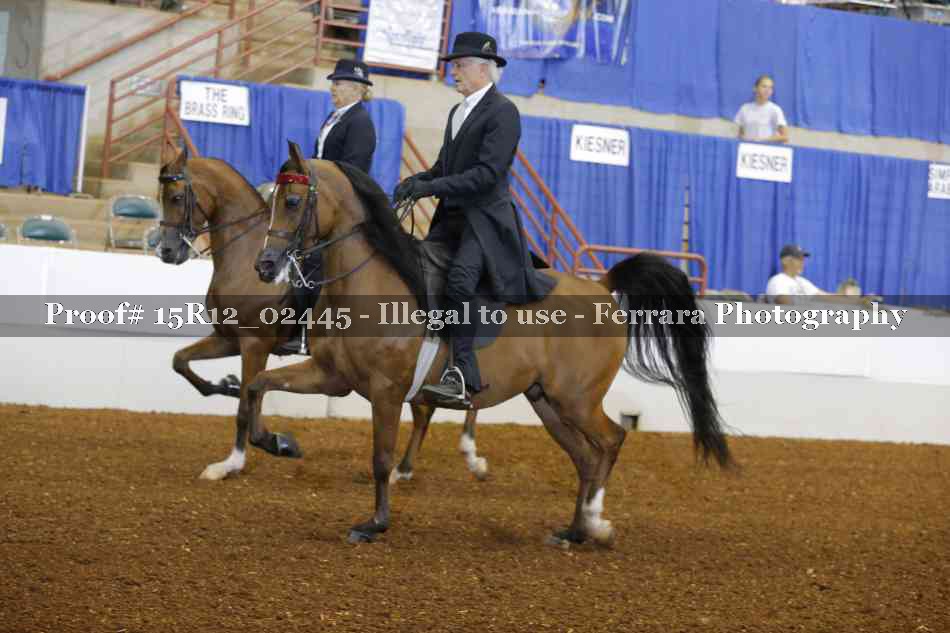 Proof 15R12_02445