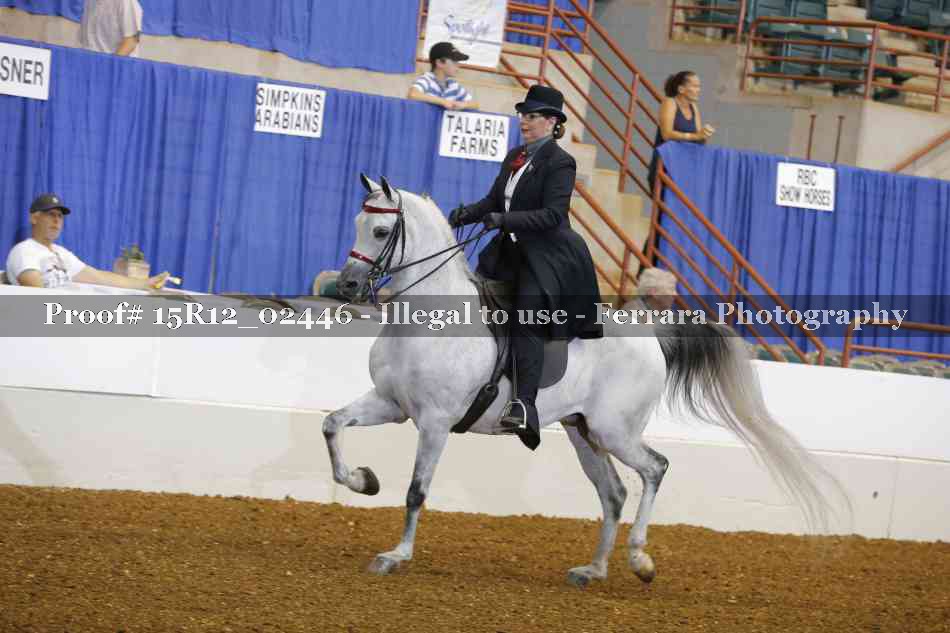 Proof 15R12_02446
