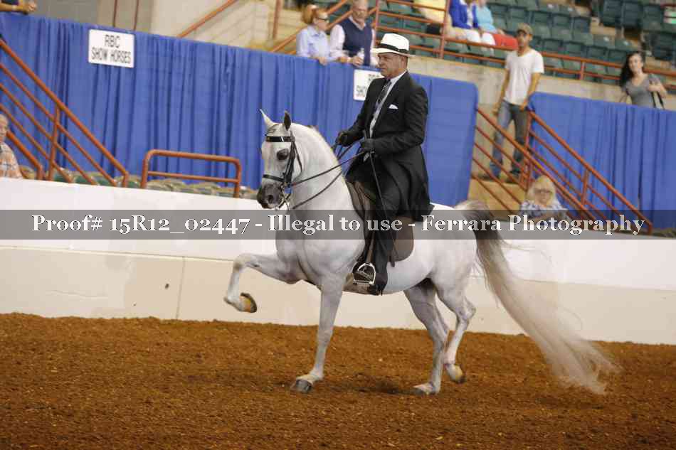 Proof 15R12_02447