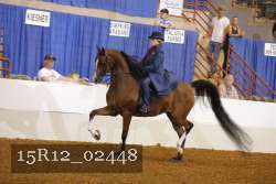 15R12_02448 proof